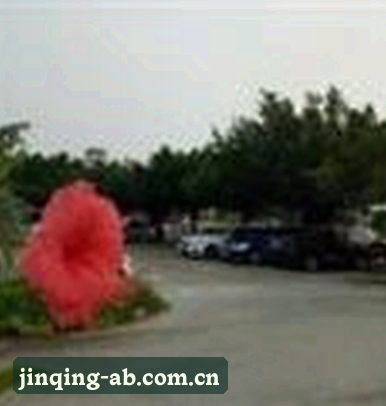孙悦